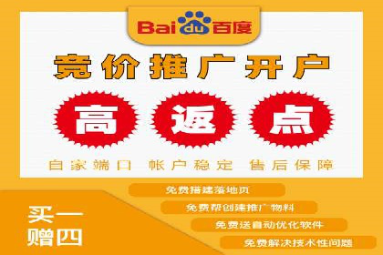 实战派经验分享：百度竞价代理成功案例揭秘